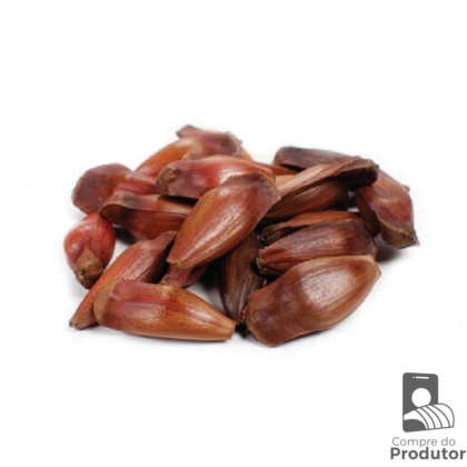 Pinhão 
