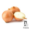 Cebola